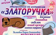 Визитки ЗЛАТОРУЧКА-2